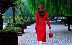 碟民网百度影音